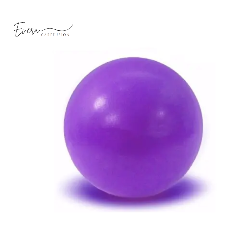 Exercise Yoga Ball