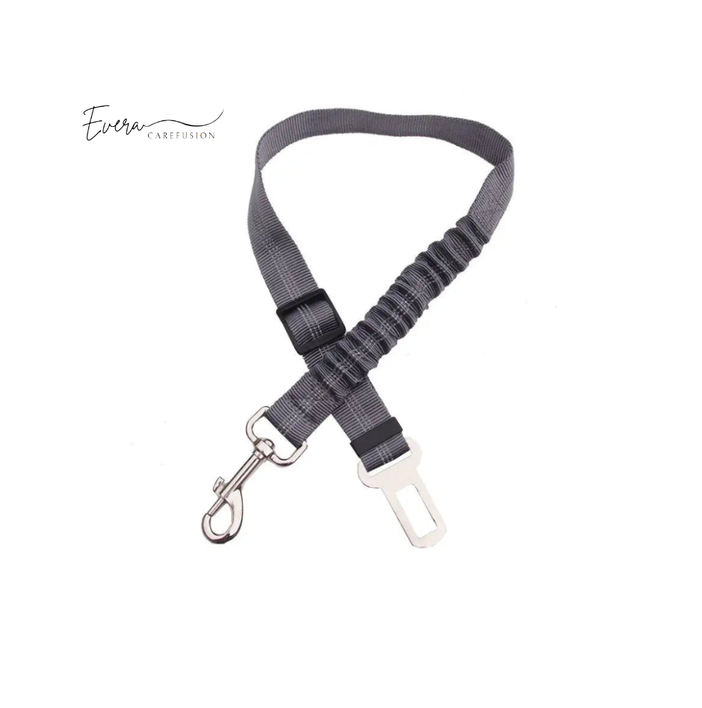 SafeRide Reflective Leash